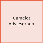 Camelot Adviesgroep